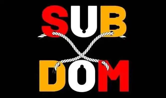西檬之家字母圈的Dom是什么意思? 一