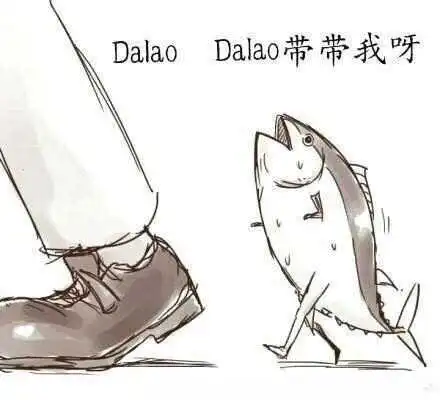 西檬之家K9犬系是什么意思? 一