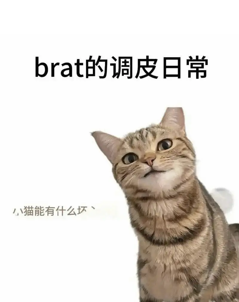 西檬之家BDSM是什么?新人如何入圈 一
