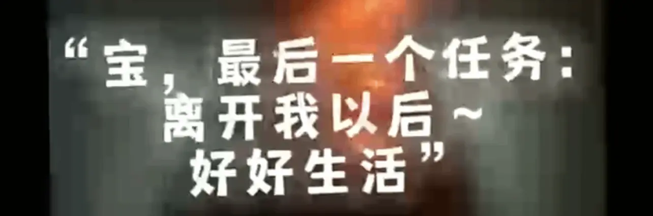 西檬之家k9犬系是什么? 一