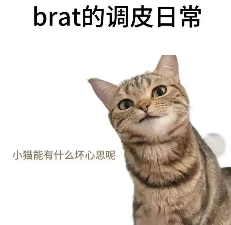 西檬之家TK挠痒玩法指南 一