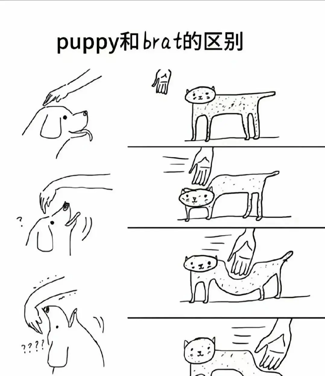 西檬之家brat属性是什么?你是这种字母圈属性吗 一
