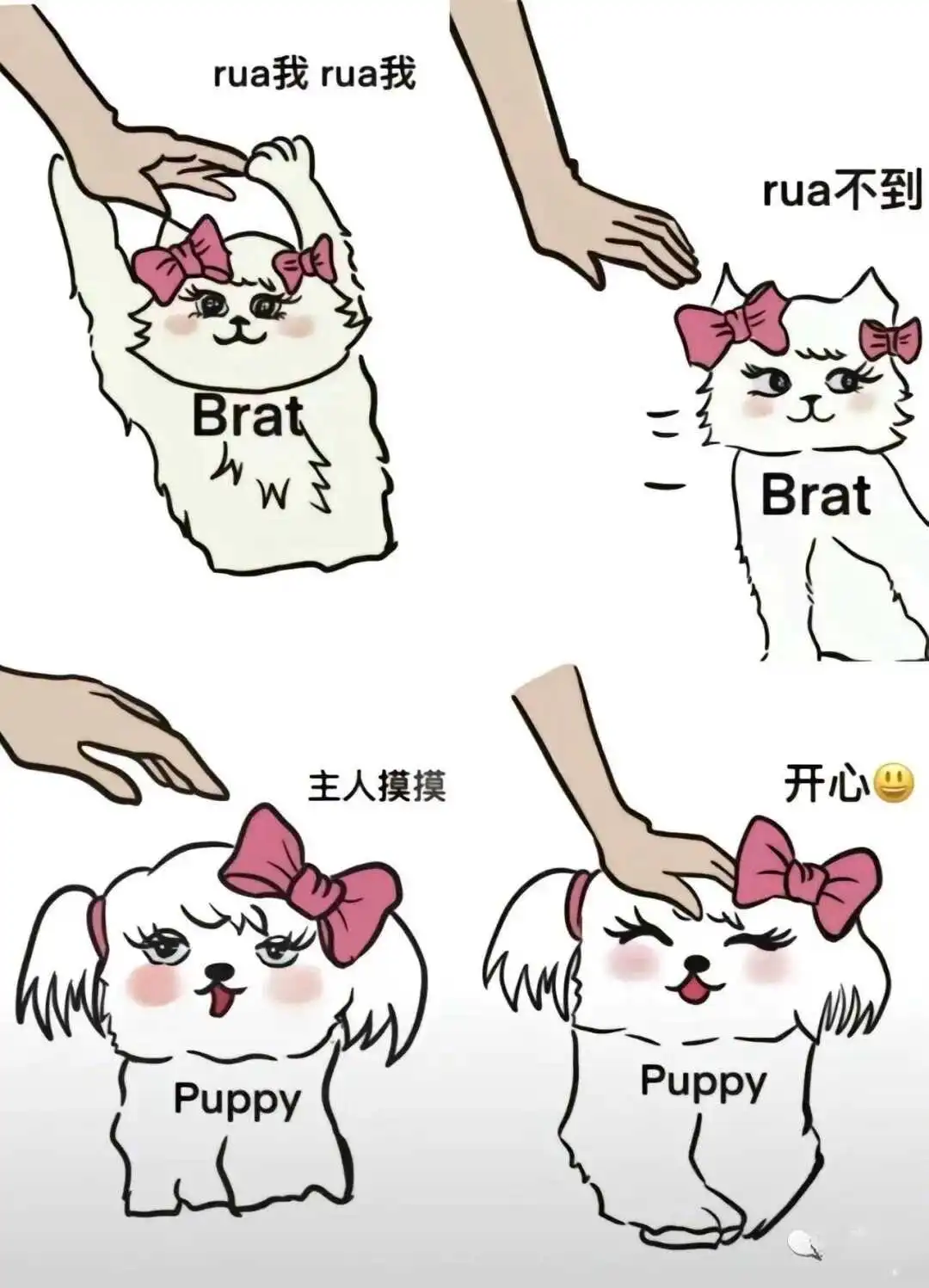 西檬之家BDSM入门指南 一