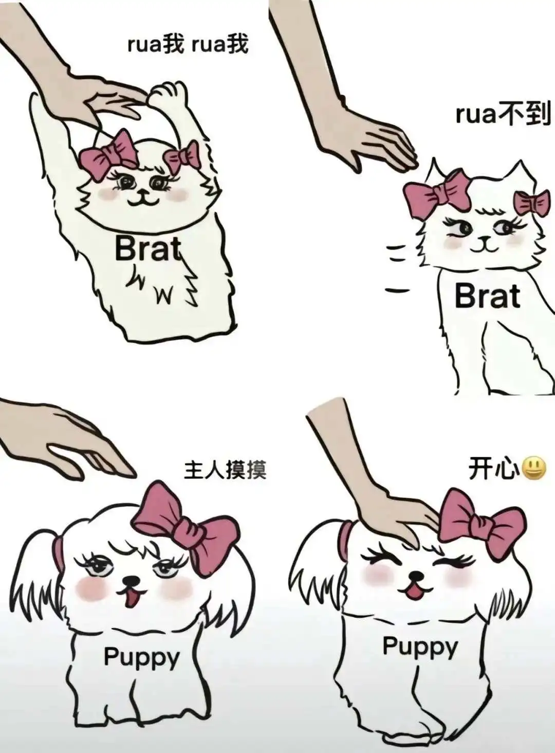 西檬之家K9是什么?你的字母圈属性是什么? 一