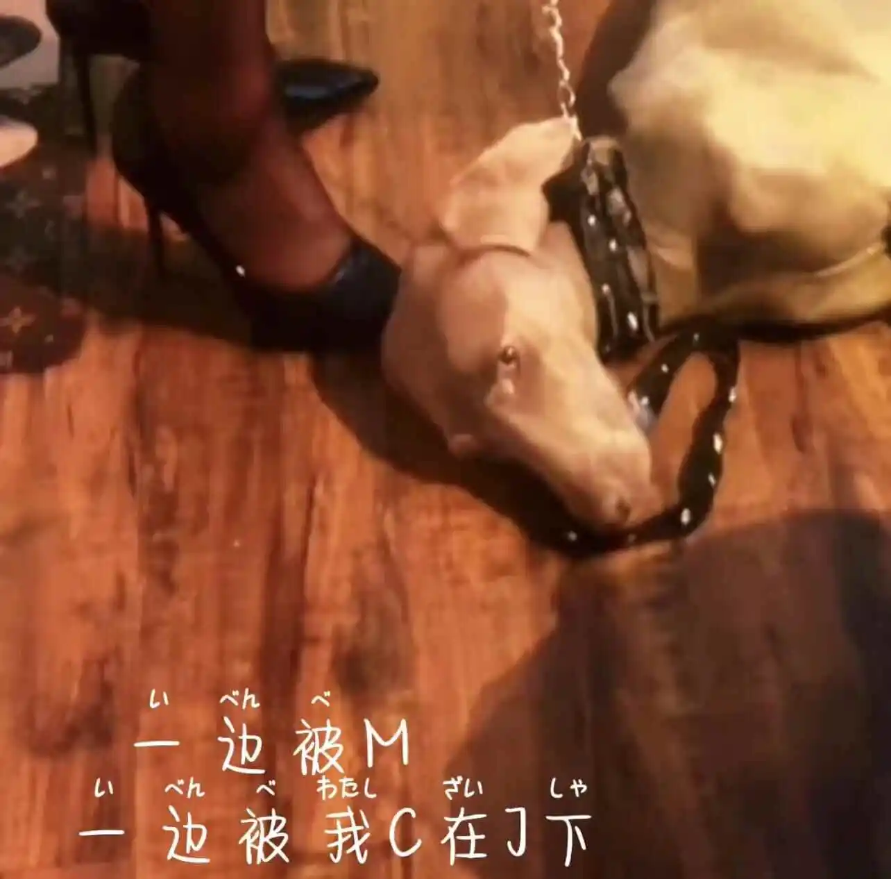 西檬之家字母圈恋足癖是什么?新手入圈前需了解的核心要点与SSC原则 一