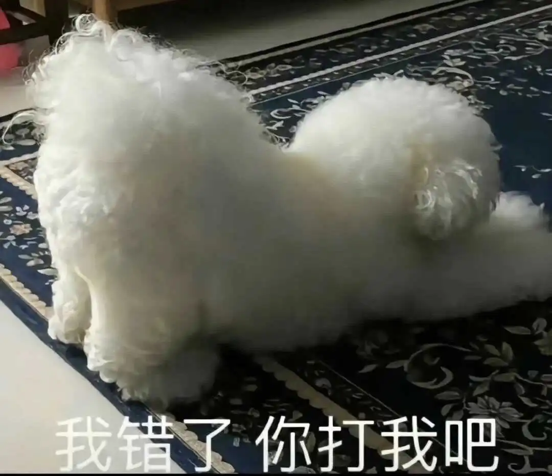 西檬之家K9犬系是什么?字母圈新人入圈 一